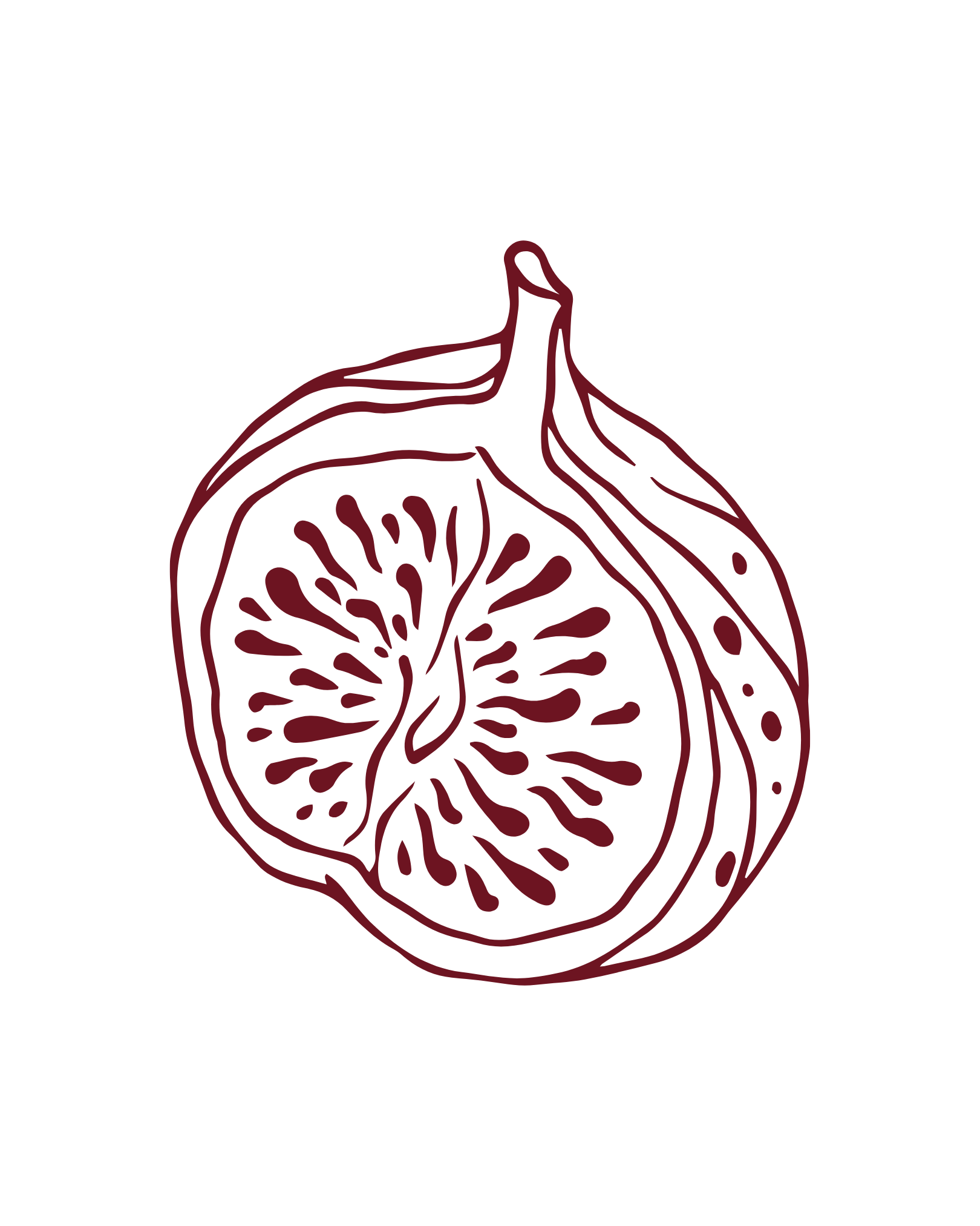 Fig Illustration
